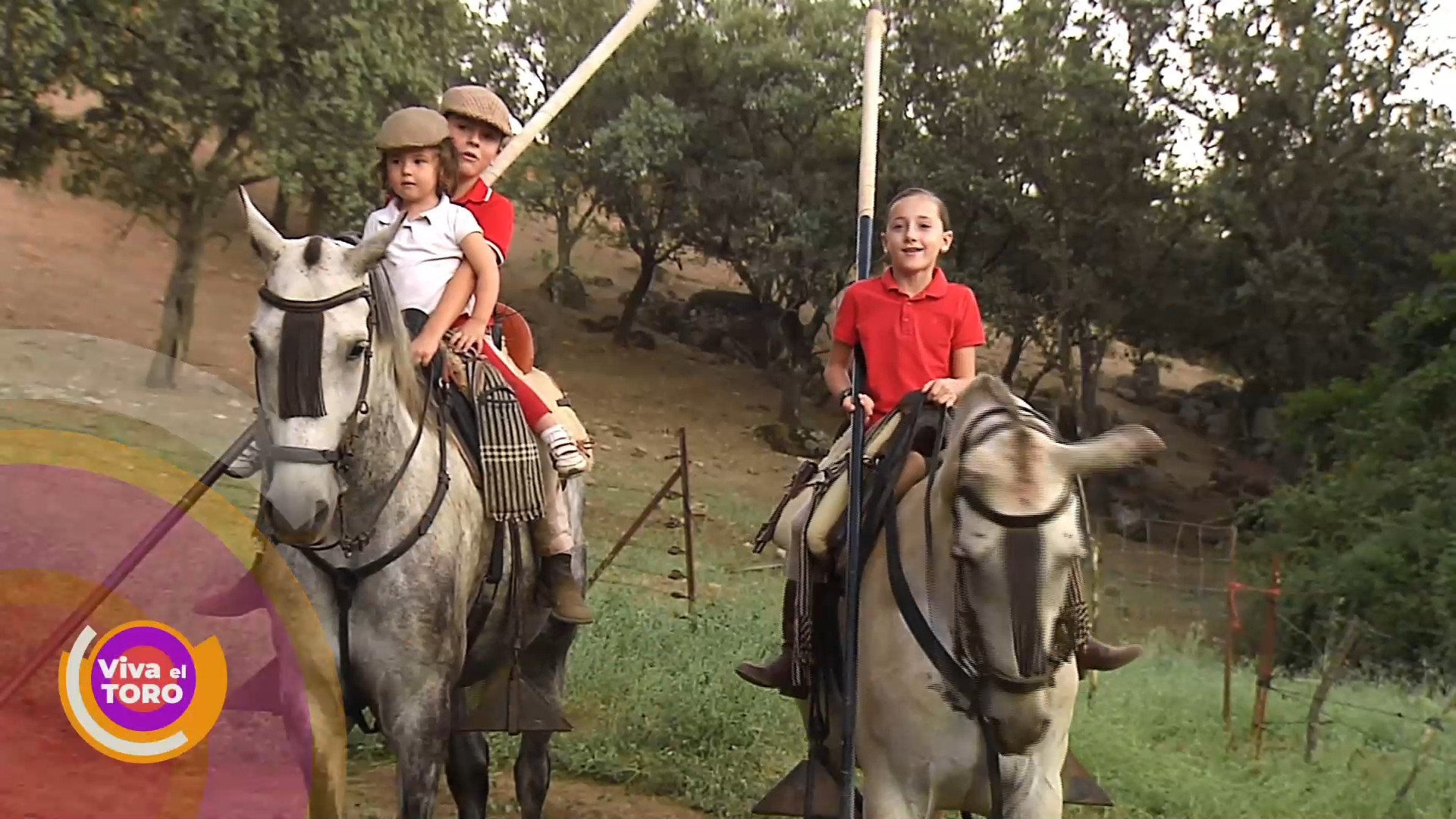 Grandes faenas y toros bravos en acción  