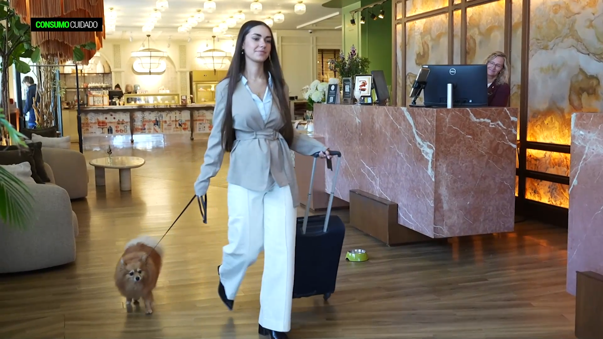 Viaja con tu mascota