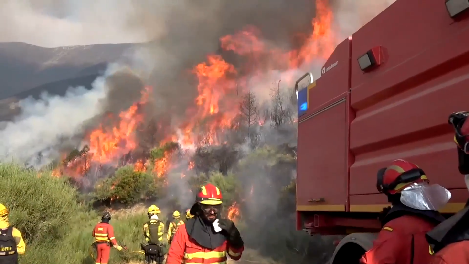  Campaña de incendios, garbanzo andaluz y fruta de hueso