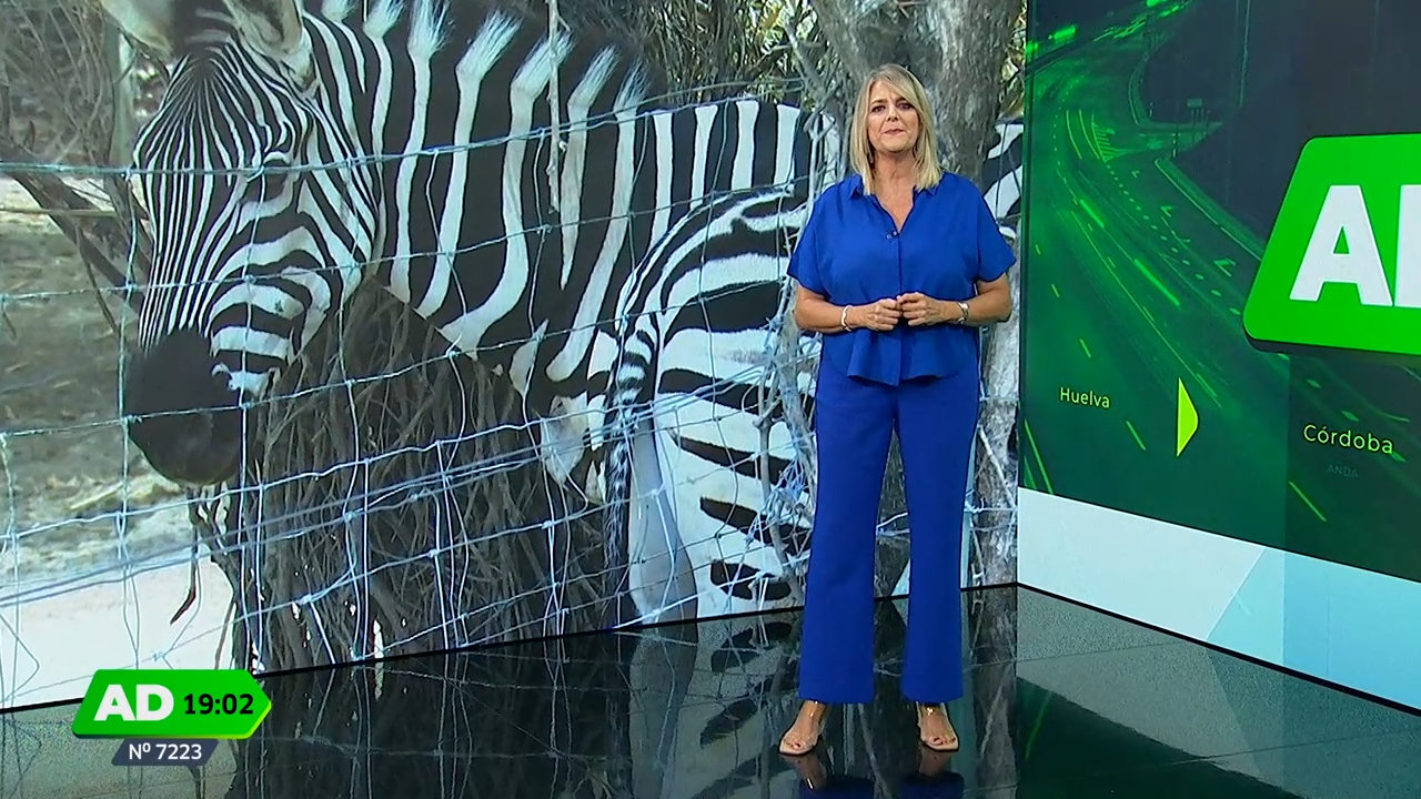 Andalucía Directo