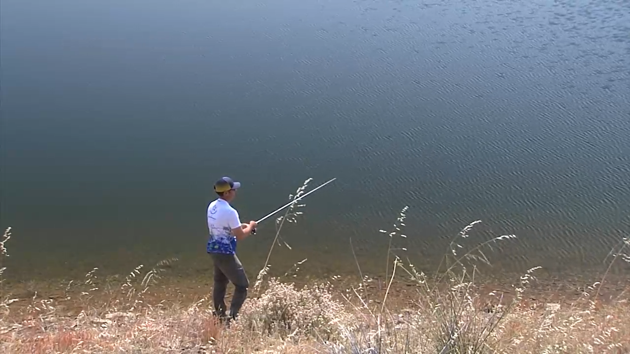 Silvestrismo y modalidades de pesca de black-bass